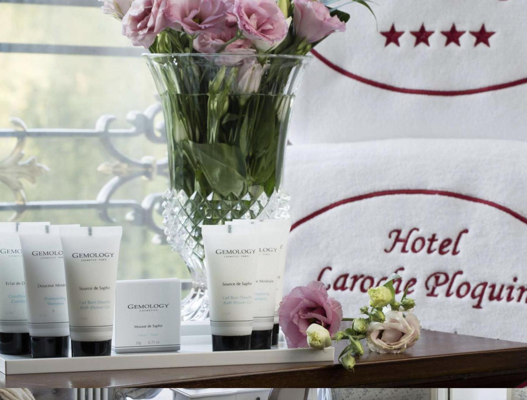 Hotel Chateau Laroche-ploquin